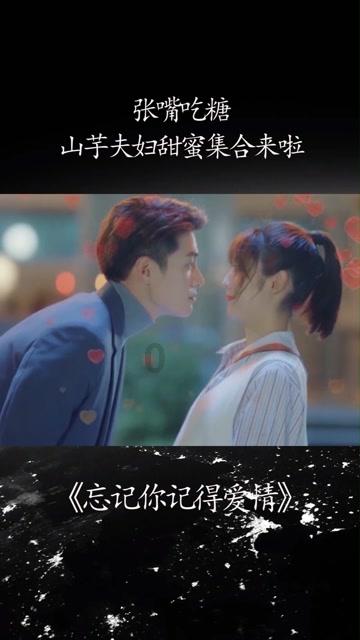 小猫钓鱼正版下载中文版